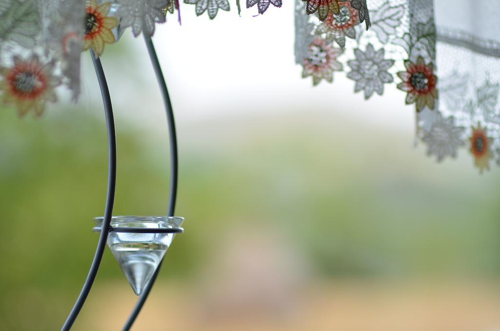 Pensiunea Poezii Alese Valea Drăganului Quarto foto
